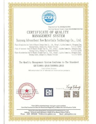 대형 포어 안이온 교환 樹脂